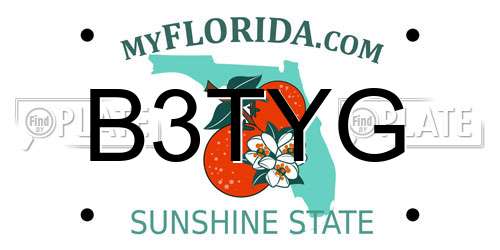 B3TYG Florida License Plate