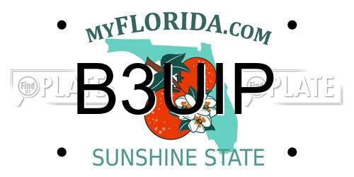 B3UIP Florida License Plate