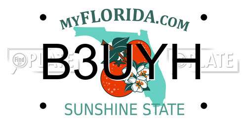 B3UYH Florida License Plate