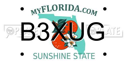 B3XUG Florida License Plate