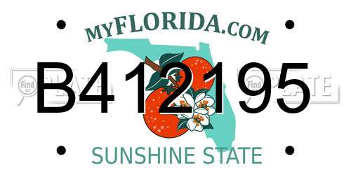 B412195 Florida License Plate