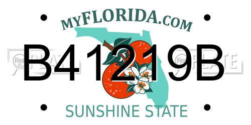B41219B Florida License Plate
