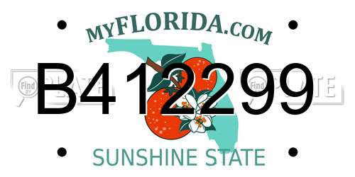 B412299 Florida License Plate