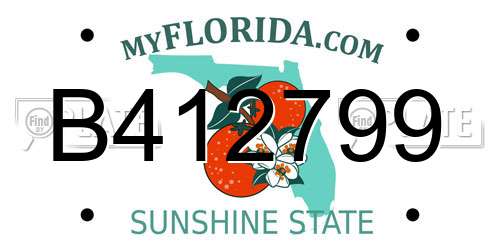 B412799 Florida License Plate