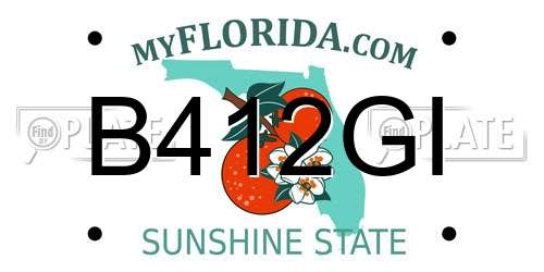 B412GI Florida License Plate