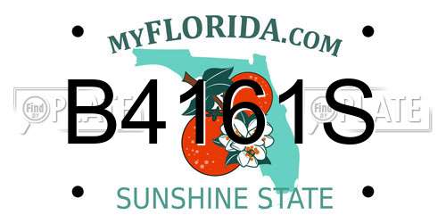 B4161S Florida License Plate