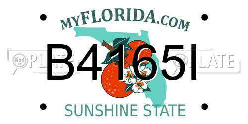 B4165I Florida License Plate