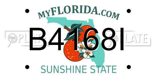 B4168I Florida License Plate