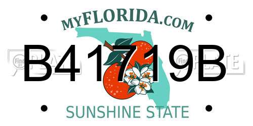 B41719B Florida License Plate