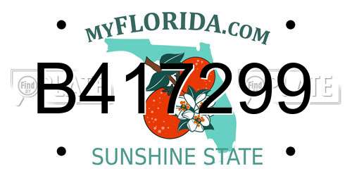 B417299 Florida License Plate
