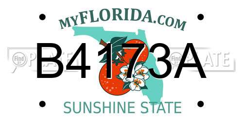 B4173A Florida License Plate