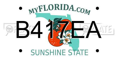 B417EA Florida License Plate