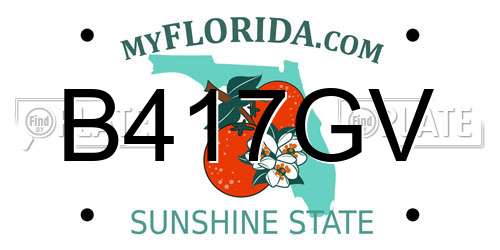 B417GV Florida License Plate