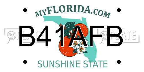 B41AFB Florida License Plate
