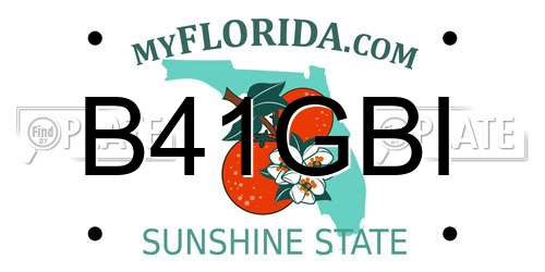 B41GBI Florida License Plate
