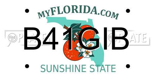 B41GIB Florida License Plate