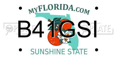 B41GSI Florida License Plate