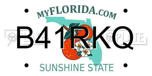B41RKQ Florida License Plate