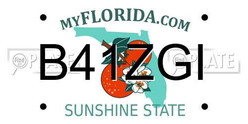 B41ZGI Florida License Plate