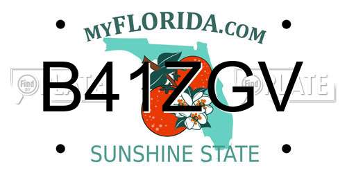 B41ZGV Florida License Plate