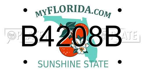 B4208B Florida License Plate