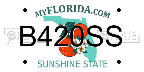 B420SS Florida License Plate
