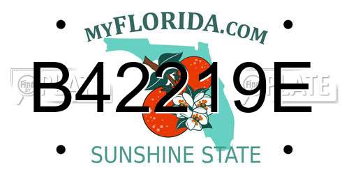B42219E Florida License Plate