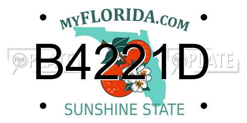 B4221D Florida License Plate