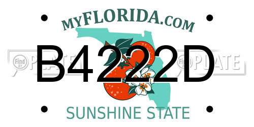 B4222D Florida License Plate