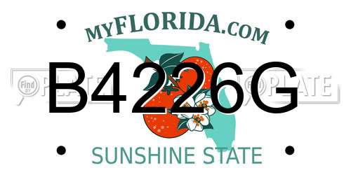 B4226G Florida License Plate
