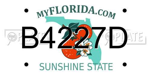 B4227D Florida License Plate