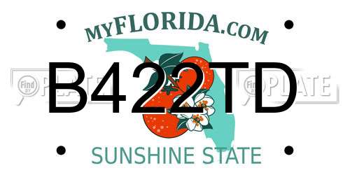 B422TD Florida License Plate