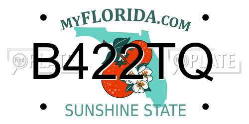 B422TQ Florida License Plate