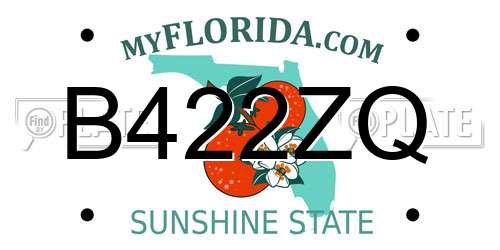 B422ZQ Florida License Plate