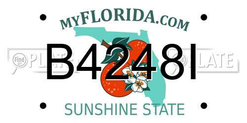 B4248I Florida License Plate
