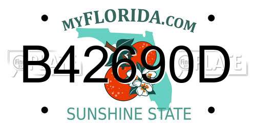 B42690D Florida License Plate