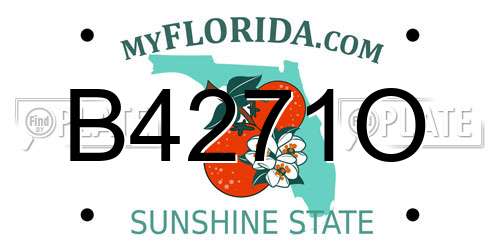 B4271O Florida License Plate