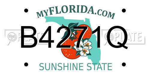 B4271Q Florida License Plate