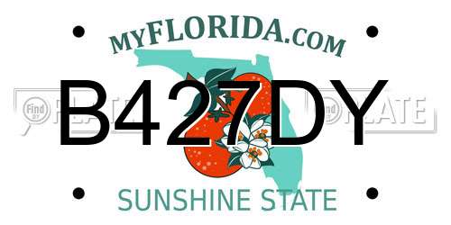 B427DY Florida License Plate