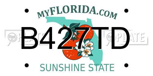 B427TD Florida License Plate