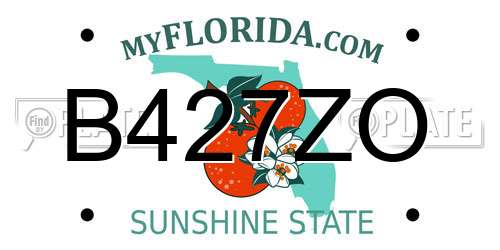 B427ZO Florida License Plate
