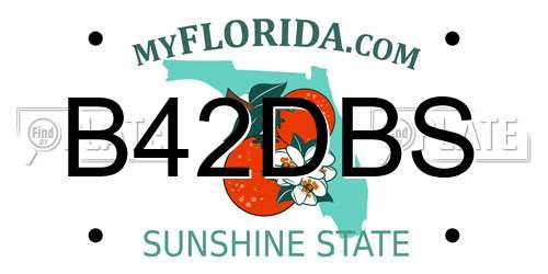 B42DBS Florida License Plate