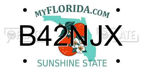 B42NJX Florida License Plate