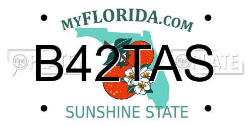 B42TAS Florida License Plate