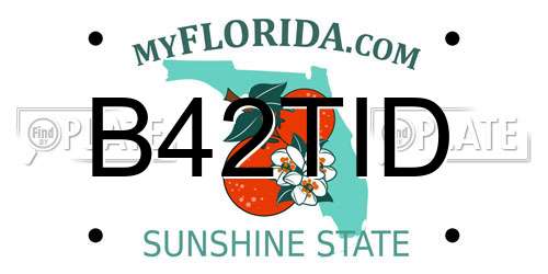 B42TID Florida License Plate