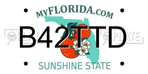 B42TTD Florida License Plate