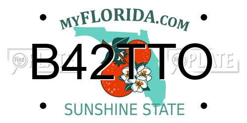 B42TTO Florida License Plate