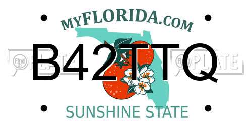 B42TTQ Florida License Plate