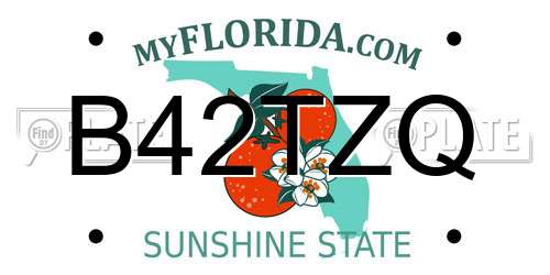 B42TZQ Florida License Plate