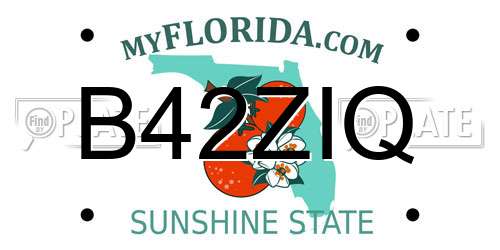 B42ZIQ Florida License Plate